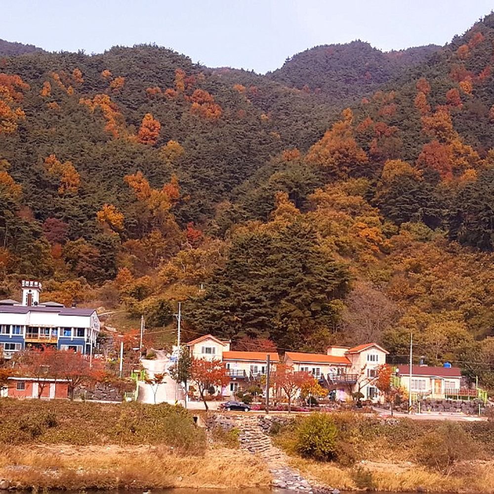 주간전경